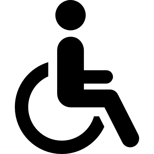 Data for All - Person with Disability Icon