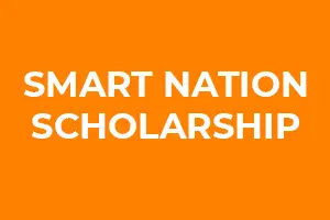 Smart Nation Scholarship - Careers at IMDA