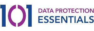 The Data Protection Essentials (DPE) logo