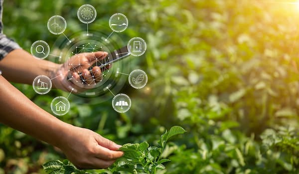 A man using agriculture technology and working on a farm with digitalisation icons overlayed, representing sustainability technology.