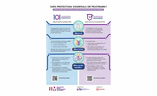 An infographic presenting a quick guide to help choose between The Data Protection Essentials (DPE) and The Data Protection Trustmark (DPTM)