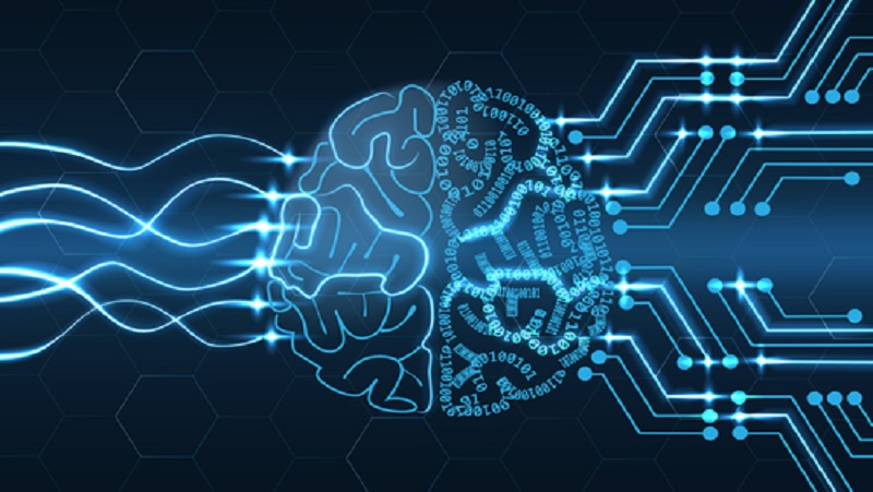 A stylised illustration of a brain with various technological designs describing the collaboration between DSL and Sentient.io