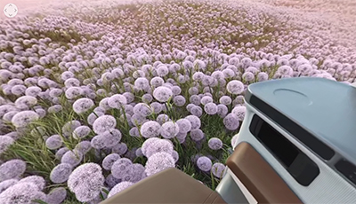 VR image showcasing a field of purple flowers, representing Beach House Pictures, one of the featured immersive media companies in Singapore