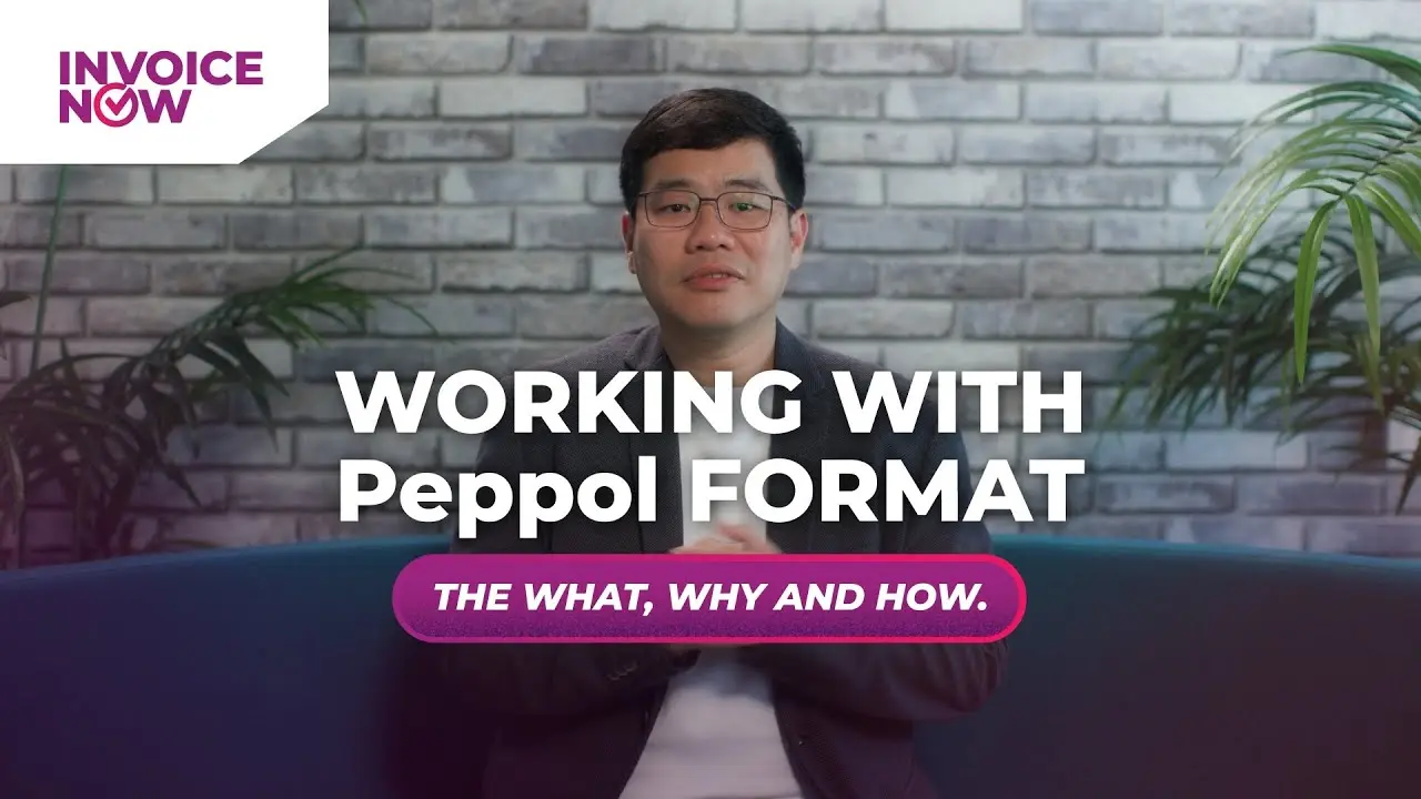 working-with-peppol-format