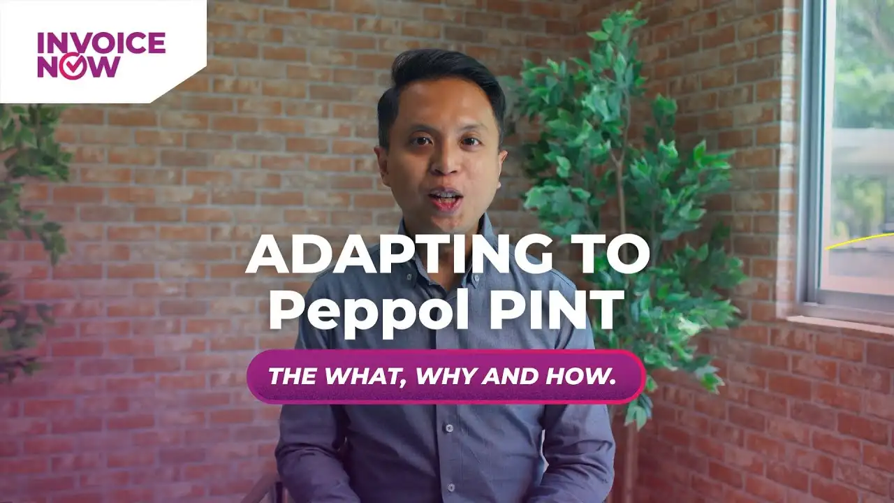 adapting-to-peppol-pint