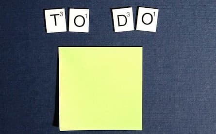 The action plan for gender diversity