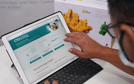 Bringing Local Treats Abroad With CTO-as-a-Service